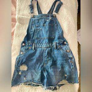 Wild Fable overalls